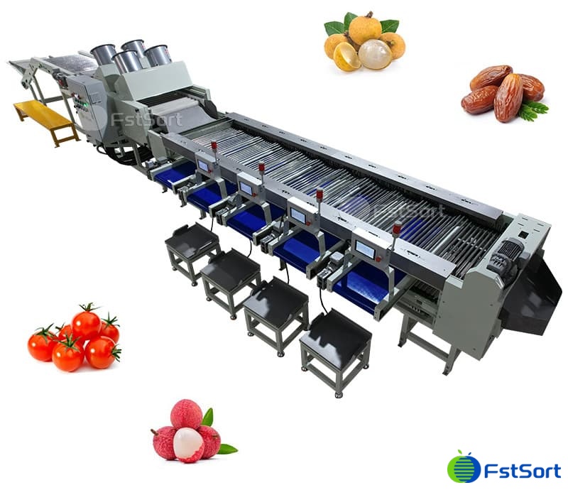images/1711696040381fruit sorting machine.jpg